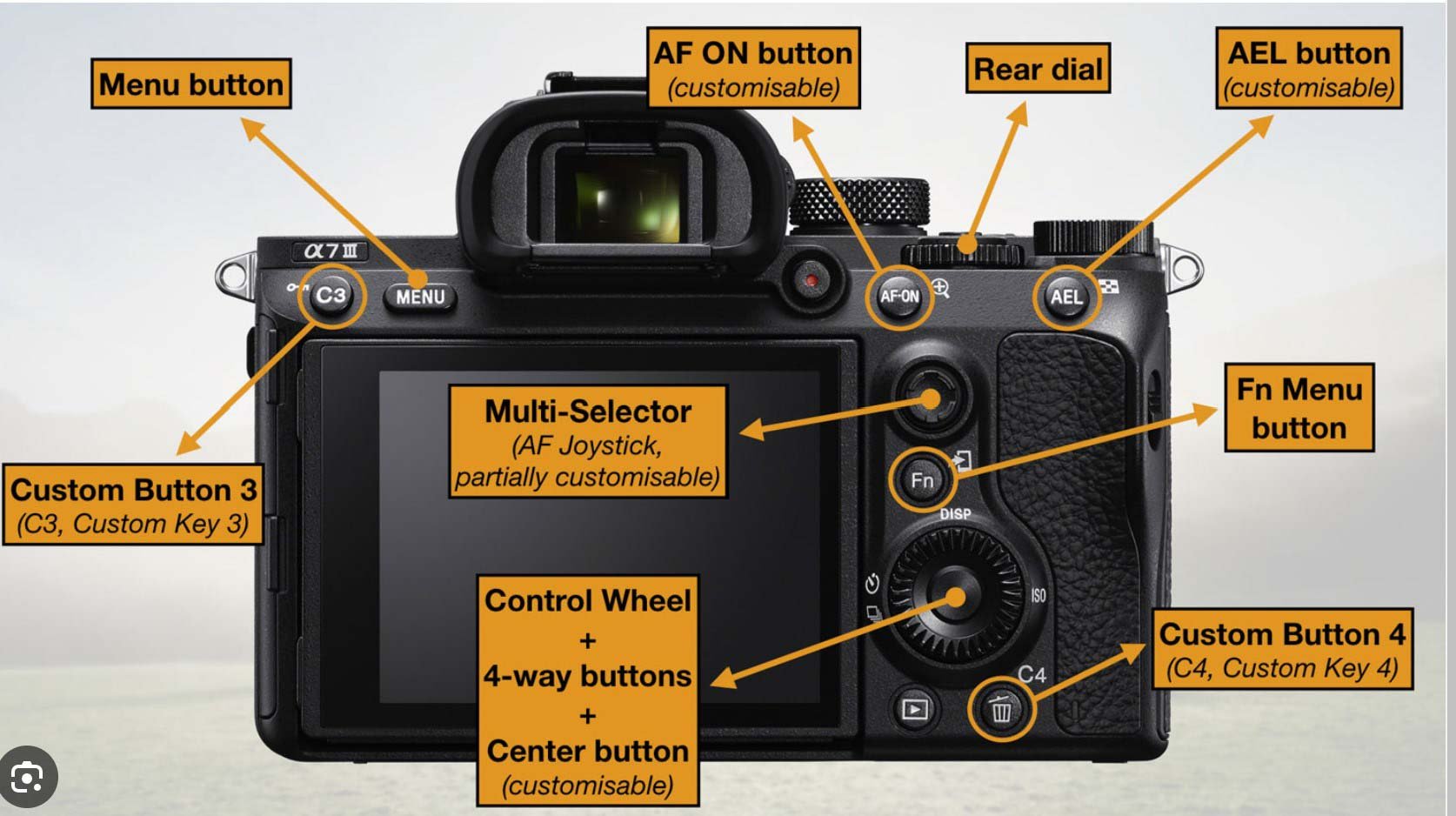 Best Camera Settings For Beginners -  Quick Tips That Work!
