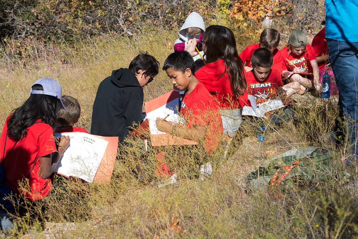 Free Educational Programs for Kids During Summer Break