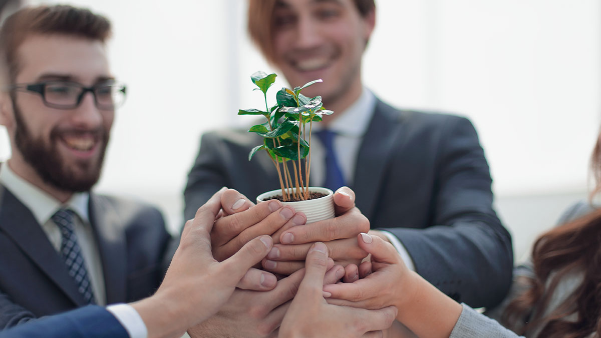 Sustainable Business Practices Profits with a Purpose