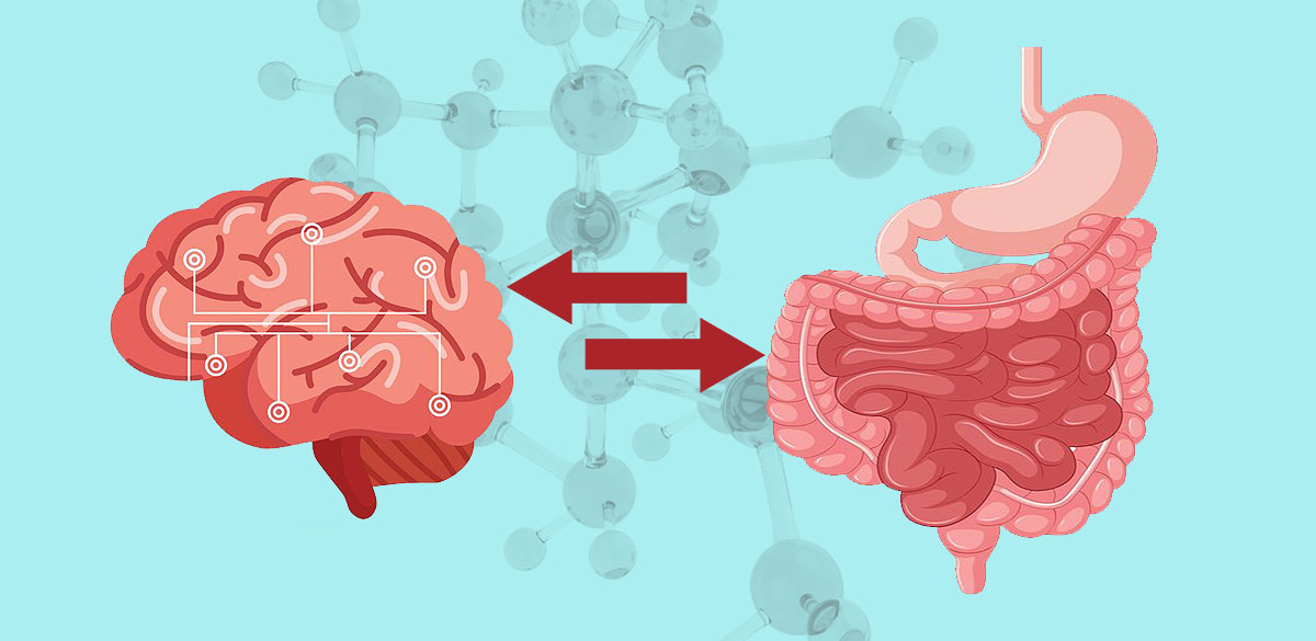Understanding the Gut-Brain Connection How Your Digestive Health Affects Mental Well-Being